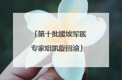 第十批援埃军医专家组凯旋回渝