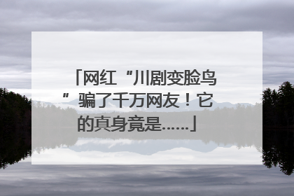 网红“川剧变脸鸟”骗了千万网友！它的真身竟是……