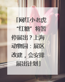 网红小老虎“红糖”将暂停展出？上海动物园：展区改建，会安排展出计划