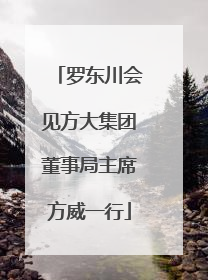 罗东川会见方大集团董事局主席方威一行