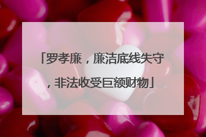 罗孝廉，廉洁底线失守，非法收受巨额财物