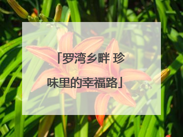 罗湾乡畔 珍味里的幸福路