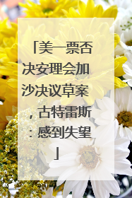 美一票否决安理会加沙决议草案，古特雷斯：感到失望