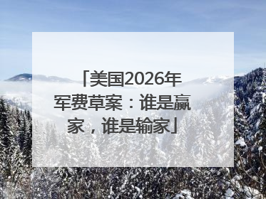 美国2026年军费草案：谁是赢家，谁是输家