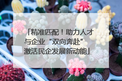 精准匹配！助力人才与企业“双向奔赴” 激活民企发展新动能
