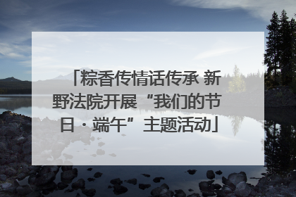粽香传情话传承 新野法院开展“我们的节日・端午”主题活动