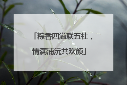 粽香四溢联五社，情满浦沅共欢颜