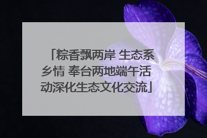 粽香飘两岸 生态系乡情 奉台两地端午活动深化生态文化交流