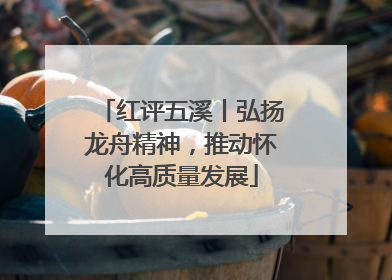 红评五溪丨弘扬龙舟精神，推动怀化高质量发展