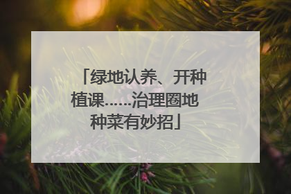 绿地认养、开种植课……治理圈地种菜有妙招