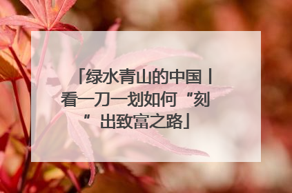 绿水青山的中国丨看一刀一划如何“刻”出致富之路