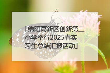 绵阳高新区创新第三小学举行2025春实习生总结汇报活动