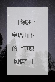 综述：宝塔山下的“草原风情”
