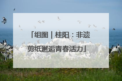组图｜桂阳：非遗剪纸邂逅青春活力