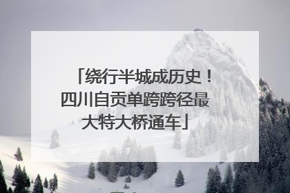 绕行半城成历史！四川自贡单跨跨径最大特大桥通车