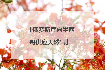 俄罗斯愿向墨西哥供应天然气
