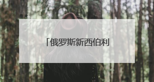 俄罗斯新西伯利亚州中国（山东）信息商务中心在上合示范区揭牌
