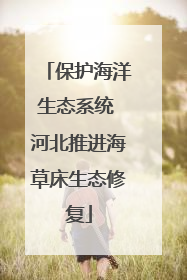 保护海洋生态系统 河北推进海草床生态修复