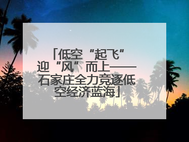 低空“起飞” 迎“风”而上——石家庄全力竞逐低空经济蓝海