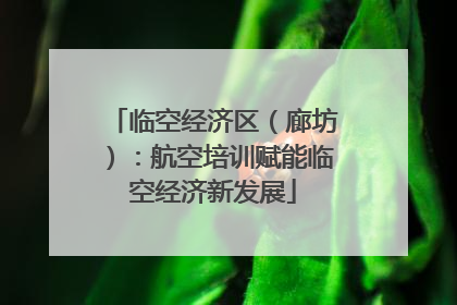 临空经济区（廊坊）：航空培训赋能临空经济新发展