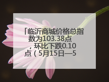 临沂商城价格总指数为103.38点，环比下跌0.10点（5月15日—5月21日）