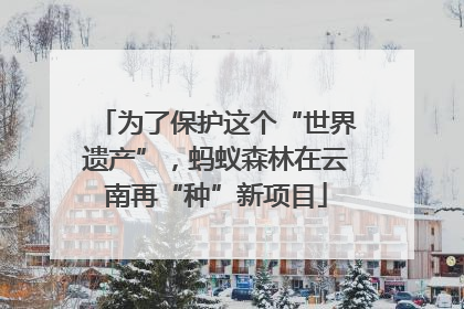 为了保护这个“世界遗产”，蚂蚁森林在云南再“种”新项目