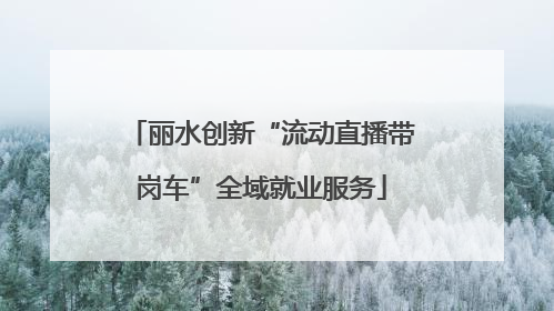 丽水创新“流动直播带岗车”全域就业服务