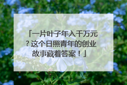 一片叶子年入千万元？这个日照青年的创业故事藏着答案！