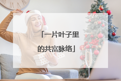 一片叶子里的共富脉络