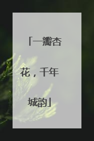 一瓣杏花，千年城韵