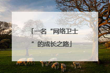 一名“网络卫士”的成长之路