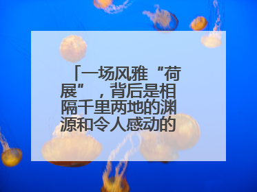 一场风雅“荷展”，背后是相隔千里两地的渊源和令人感动的历史人文情怀