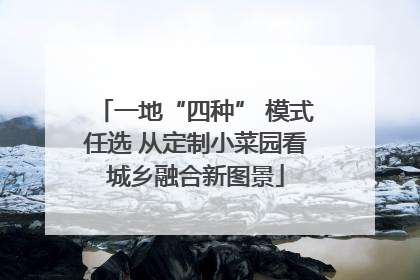 一地“四种” 模式任选 从定制小菜园看城乡融合新图景