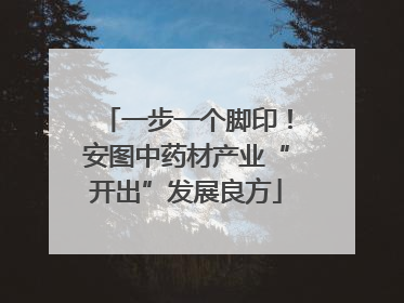 一步一个脚印！安图中药材产业“开出”发展良方