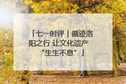七一时评｜循迹洛阳之行 让文化遗产“生生不息”