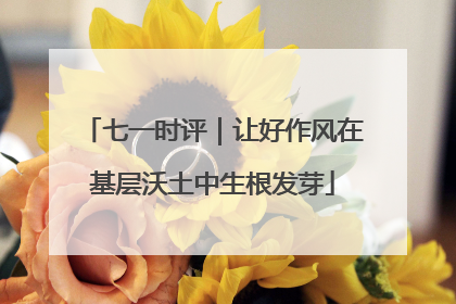 七一时评｜让好作风在基层沃土中生根发芽
