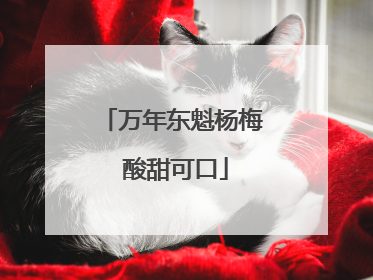 万年东魁杨梅 酸甜可口