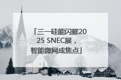 三一硅能闪耀2025 SNEC展，智能微网成焦点