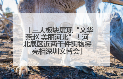 三大板块展现“文华燕赵 美丽河北”！河北展区近两千件实物将亮相深圳文博会