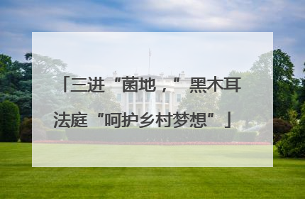 三进“菌地，”黑木耳法庭“呵护乡村梦想”