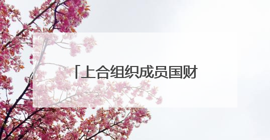 上合组织成员国财长和央行行长会议支持深化财金合作