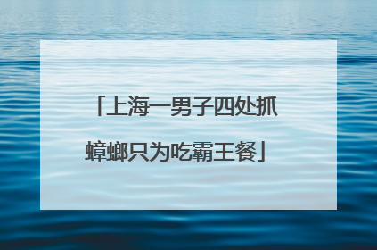 上海一男子四处抓蟑螂只为吃霸王餐