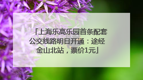 上海乐高乐园首条配套公交线路明日开通：途经金山北站，票价1元