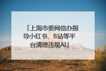 上海市委网信办指导小红书、B站等平台清理违规AI