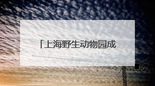 上海野生动物园成功繁育的两头非洲象宝宝与游客见面
