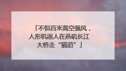 不惧百米高空强风，人形机器人在燕矶长江大桥走“猫道”