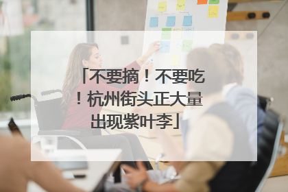不要摘！不要吃！杭州街头正大量出现紫叶李
