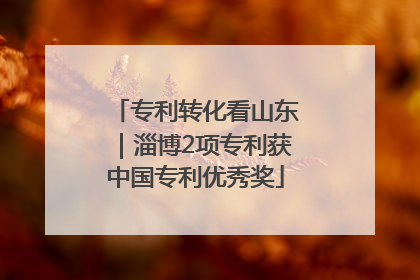 专利转化看山东｜淄博2项专利获中国专利优秀奖