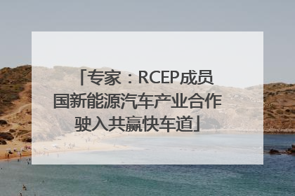 专家：RCEP成员国新能源汽车产业合作驶入共赢快车道