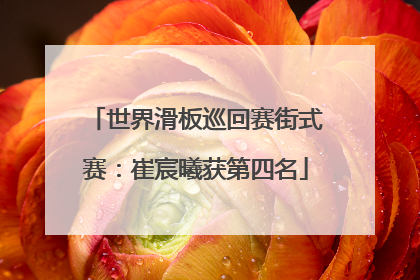 世界滑板巡回赛街式赛：崔宸曦获第四名